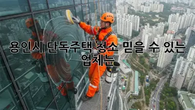 용인시 단독주택 청소, 믿을 수 있는 업체는?
