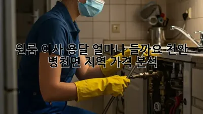 원룸 이사 용달, 얼마나 들까요? 천안 병천면 지역 가격 분석